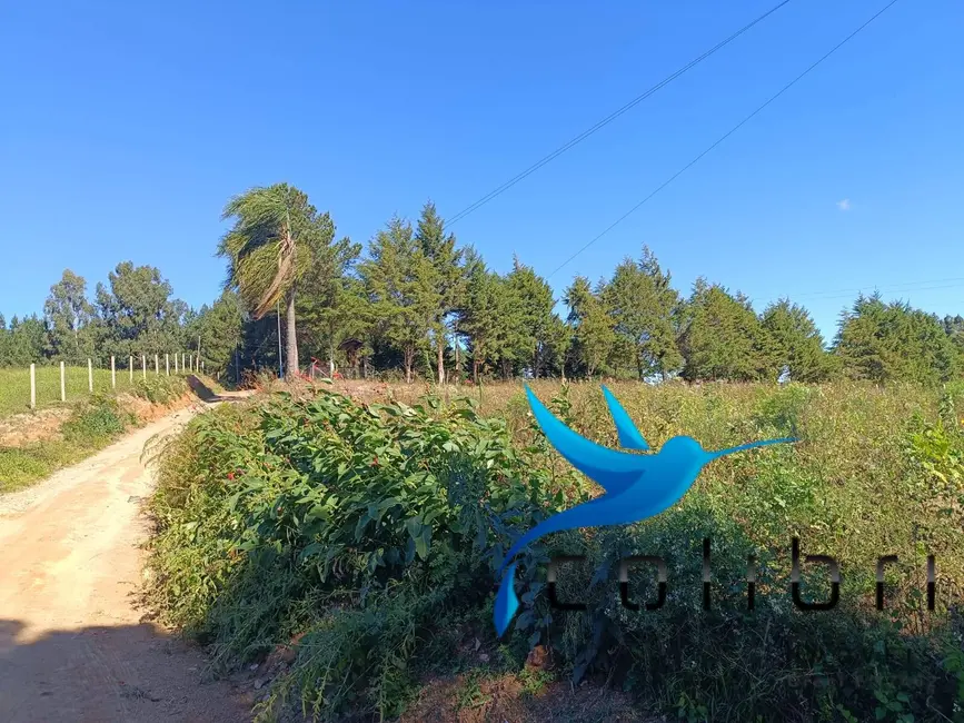 Foto 1 de Chácara à venda, 2420m2 em Leão, Agudos Do Sul - PR
