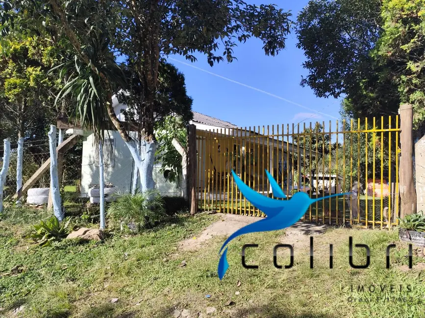 Foto 6 de Chácara com 2 quartos à venda, 5000m2 em Leão, Agudos Do Sul - PR