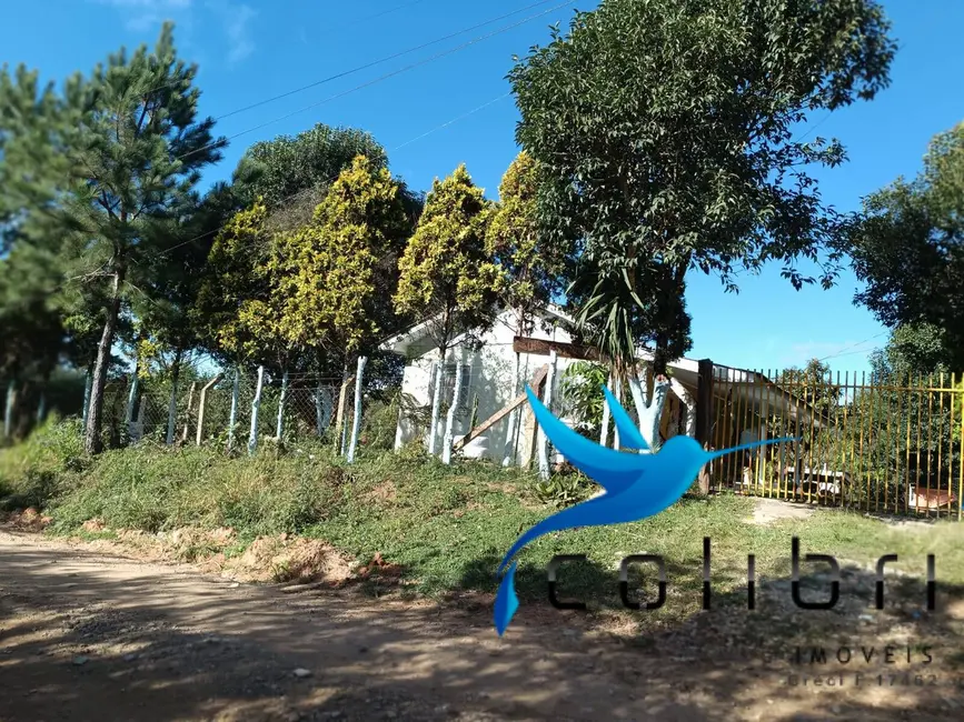 Foto 8 de Chácara com 2 quartos à venda, 5000m2 em Leão, Agudos Do Sul - PR