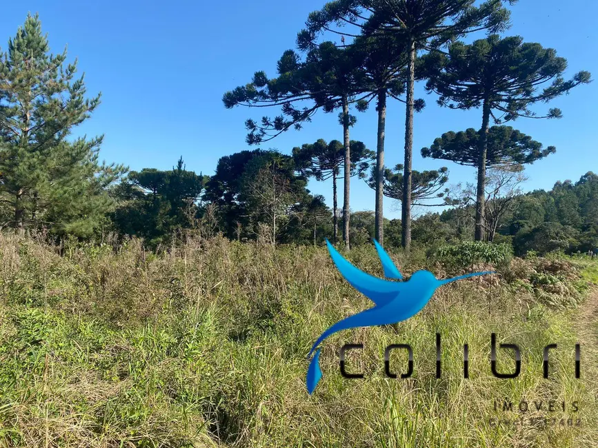 Foto 7 de Terreno / Lote à venda, 5220m2 em Trigolândia, Pien - PR