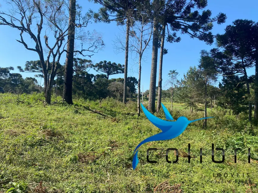 Foto 4 de Terreno / Lote à venda, 5220m2 em Trigolândia, Pien - PR