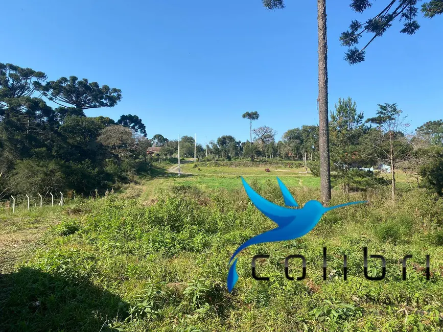 Foto 1 de Terreno / Lote à venda, 5220m2 em Trigolândia, Pien - PR