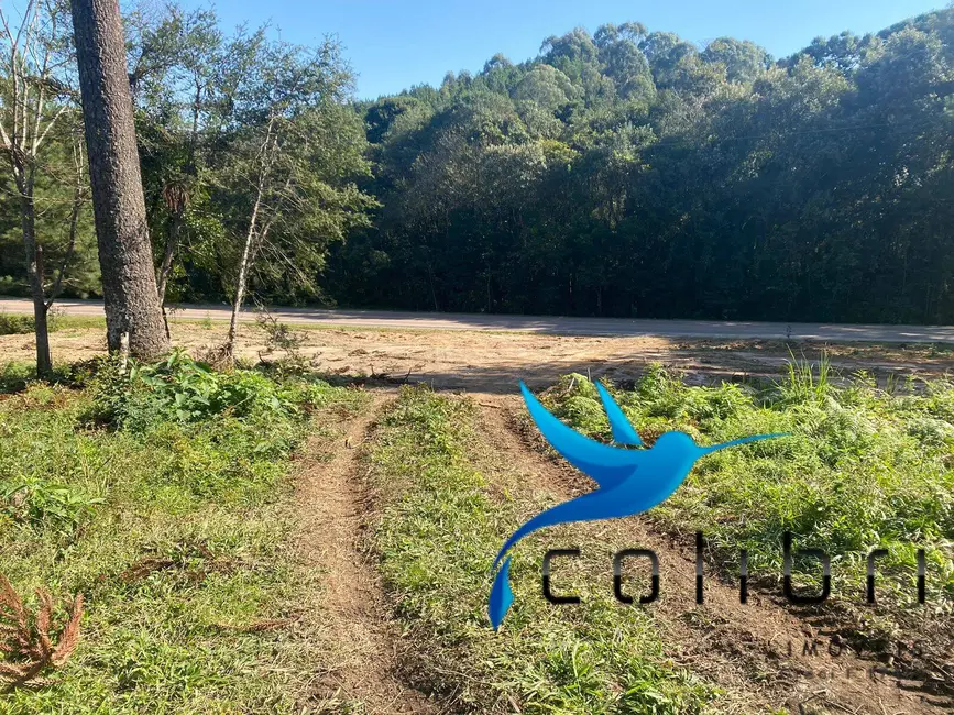 Foto 6 de Terreno / Lote à venda, 5220m2 em Trigolândia, Pien - PR