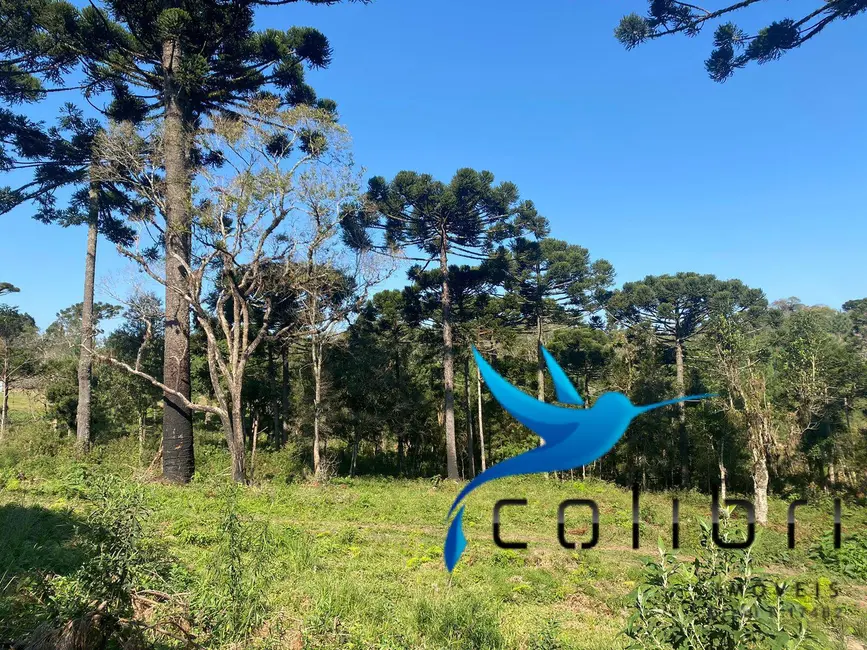 Foto 8 de Terreno / Lote à venda, 5220m2 em Trigolândia, Pien - PR