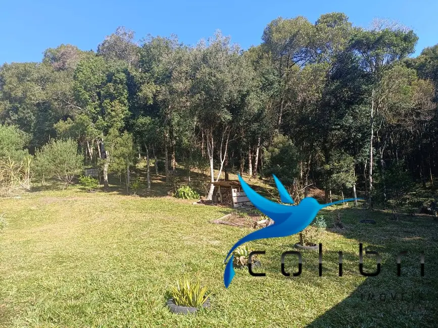 Foto 6 de Chácara com 2 quartos à venda, 6000m2 em Agudos Do Sul - PR