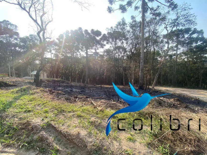 Foto 5 de Terreno / Lote à venda, 2141m2 em Leão, Agudos Do Sul - PR