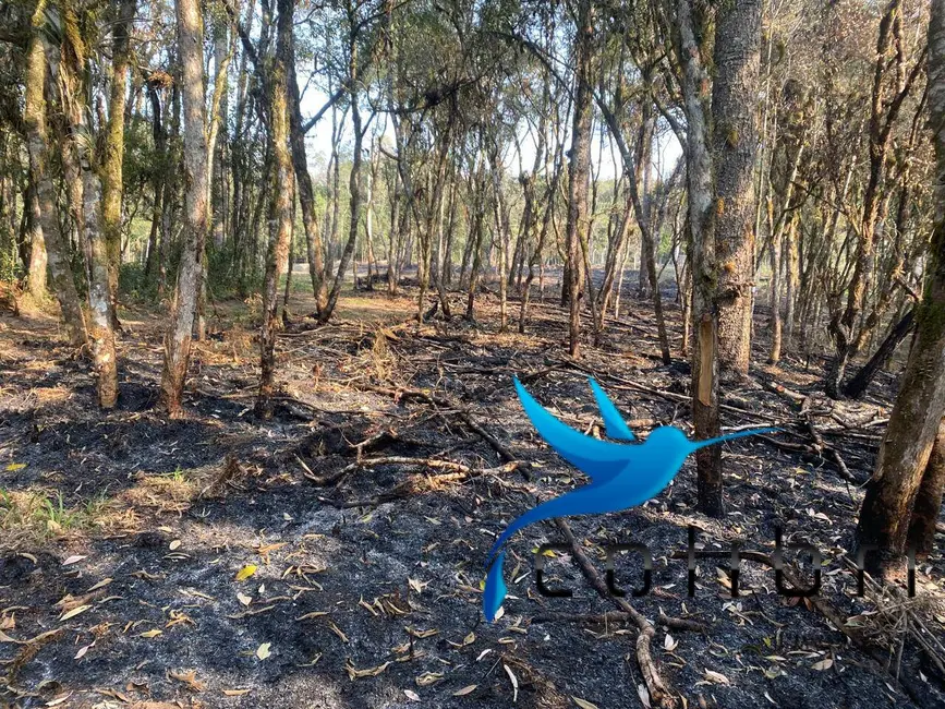 Foto 4 de Terreno / Lote à venda, 2141m2 em Leão, Agudos Do Sul - PR