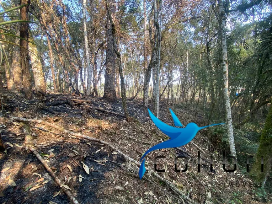 Foto 2 de Terreno / Lote à venda, 2141m2 em Leão, Agudos Do Sul - PR