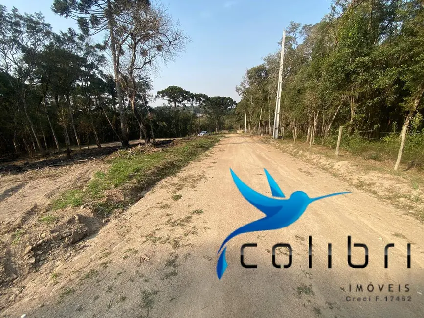 Foto 8 de Terreno / Lote à venda, 2141m2 em Leão, Agudos Do Sul - PR