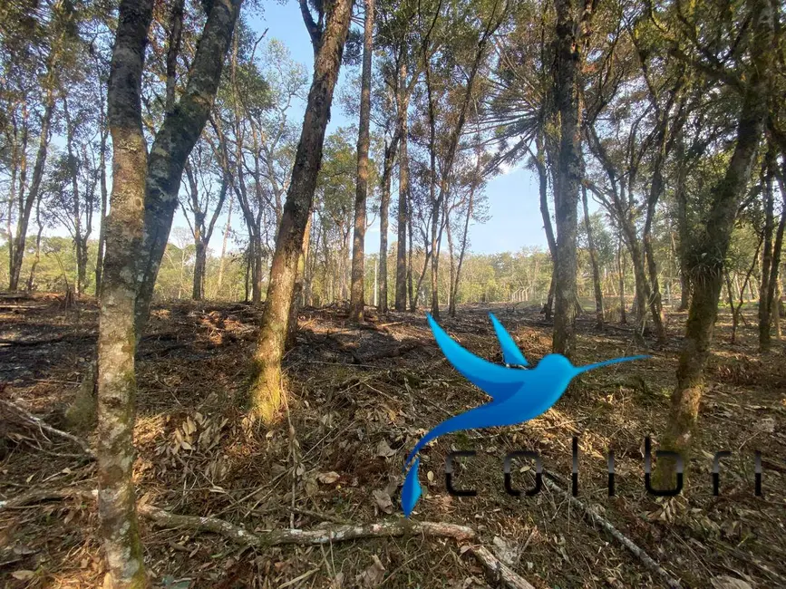 Foto 3 de Terreno / Lote à venda, 2141m2 em Leão, Agudos Do Sul - PR