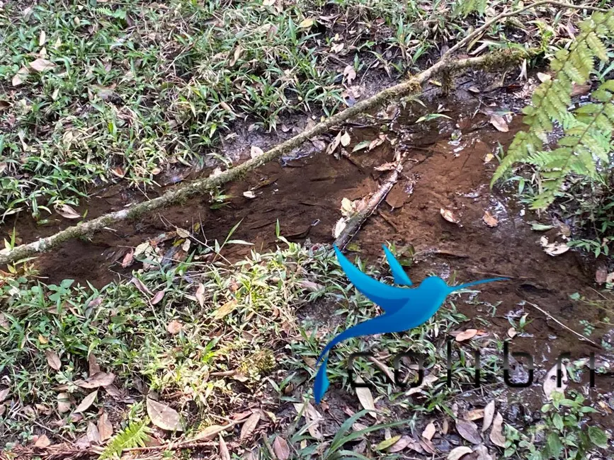 Foto 7 de Terreno / Lote à venda, 2141m2 em Leão, Agudos Do Sul - PR