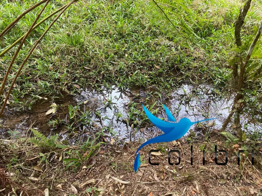 Foto 6 de Terreno / Lote à venda, 2141m2 em Leão, Agudos Do Sul - PR