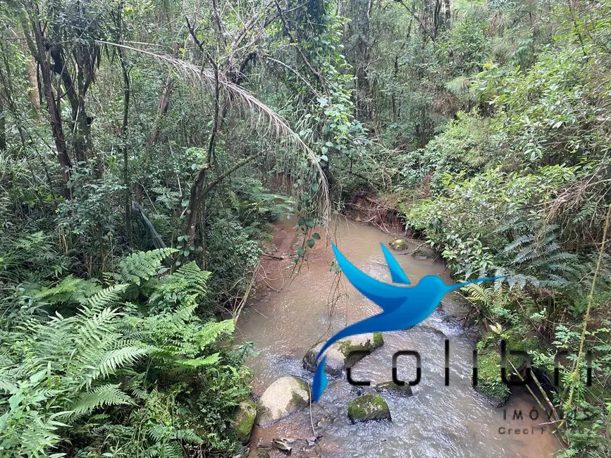 Foto 10 de Chácara à venda, 20637m2 em Quitandinha - PR