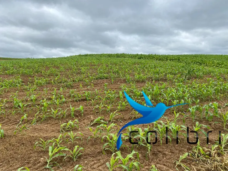 Foto 7 de Chácara à venda, 20637m2 em Agudos Do Sul - PR