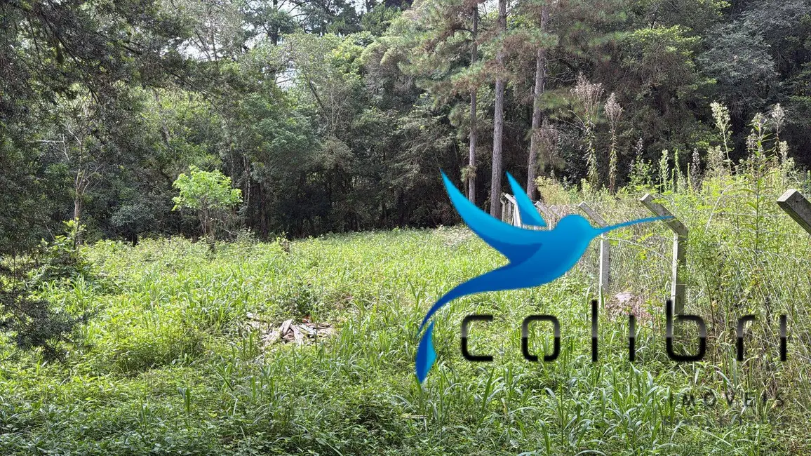 Foto 8 de Chácara com 3 quartos à venda, 3600m2 em Leão, Agudos Do Sul - PR