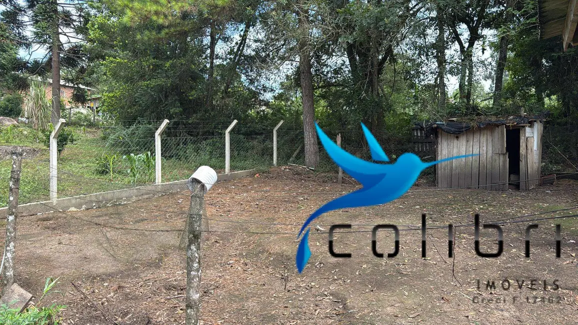 Foto 5 de Chácara com 3 quartos à venda, 3600m2 em Leão, Agudos Do Sul - PR