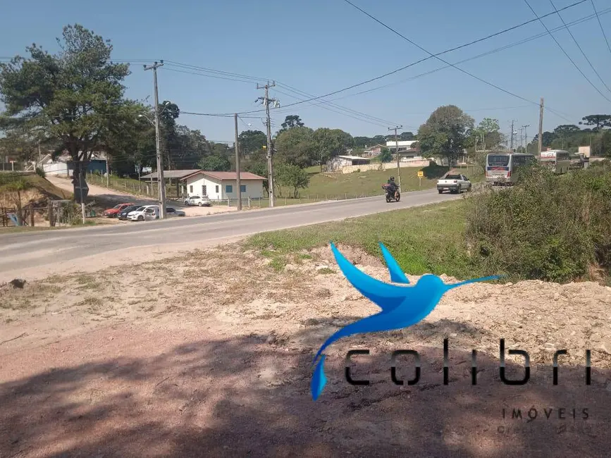 Foto 9 de Chácara com 3 quartos à venda, 3600m2 em Leão, Agudos Do Sul - PR