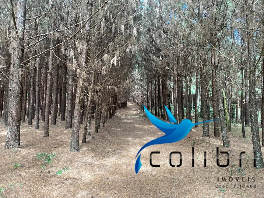 Foto 5 de Chácara com 4 quartos à venda, 72600m2 em Agudos Do Sul - PR