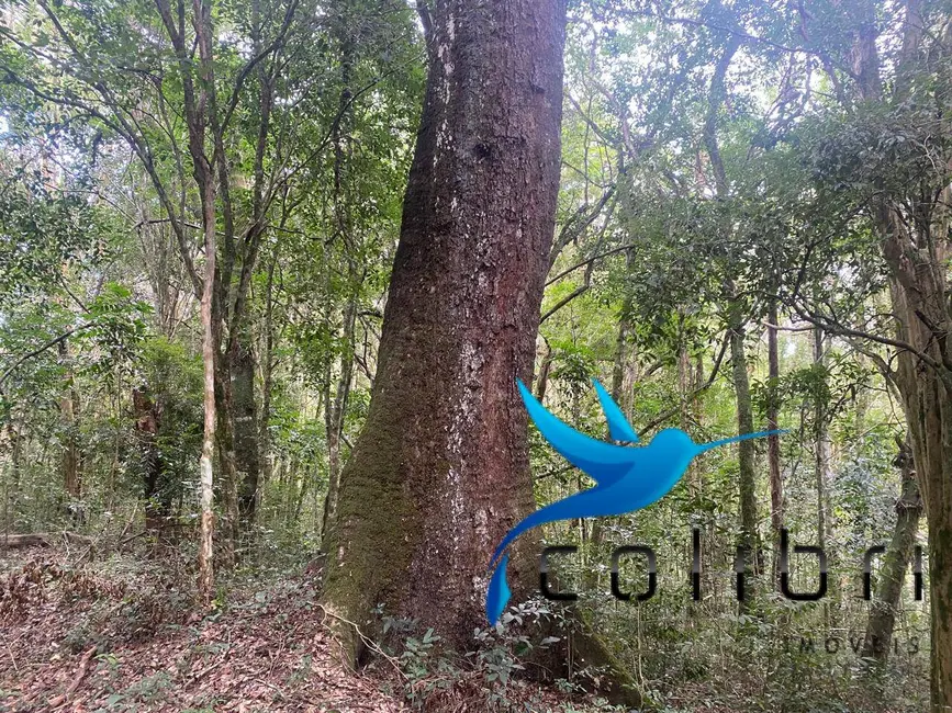 Foto 9 de Chácara com 4 quartos à venda, 72600m2 em Agudos Do Sul - PR