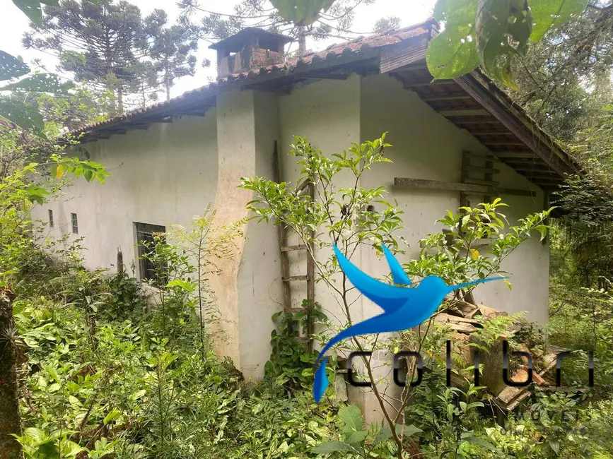 Foto 7 de Chácara com 4 quartos à venda, 72600m2 em Agudos Do Sul - PR