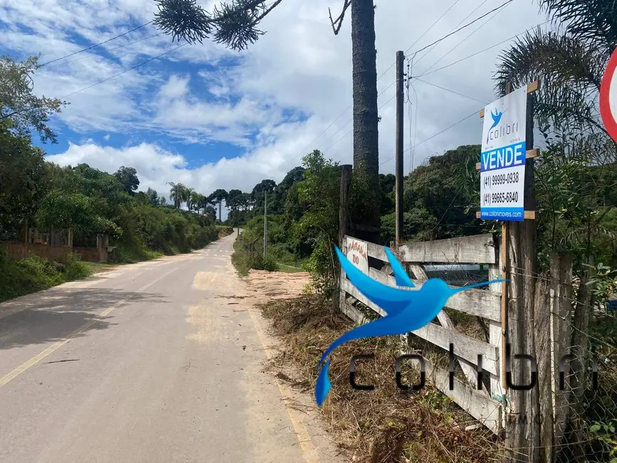 Foto 3 de Chácara com 4 quartos à venda, 72600m2 em Agudos Do Sul - PR