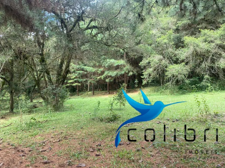 Foto 8 de Chácara com 4 quartos à venda, 72600m2 em Agudos Do Sul - PR