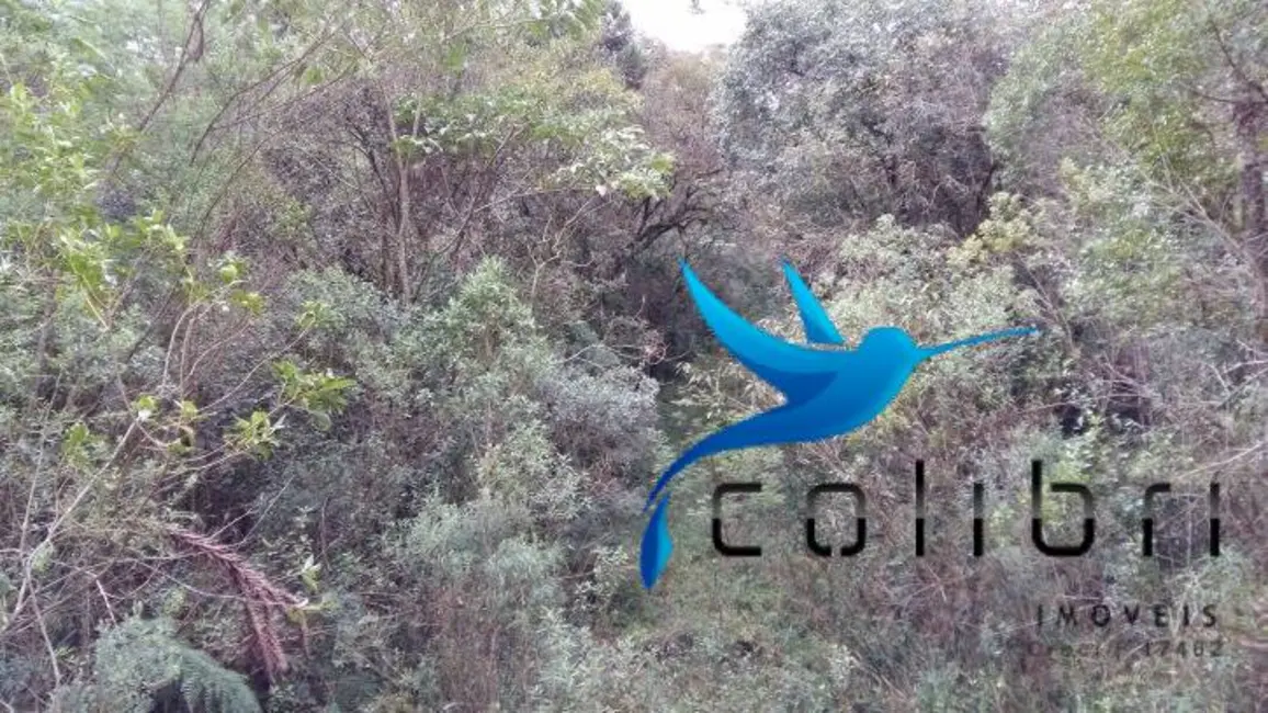 Foto 6 de Chácara à venda, 51425m2 em Agudos Do Sul - PR