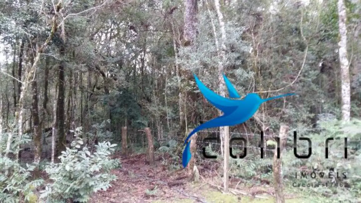 Foto 5 de Chácara à venda, 51425m2 em Agudos Do Sul - PR