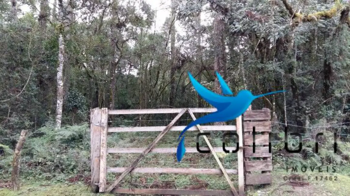 Foto 7 de Chácara à venda, 51425m2 em Agudos Do Sul - PR