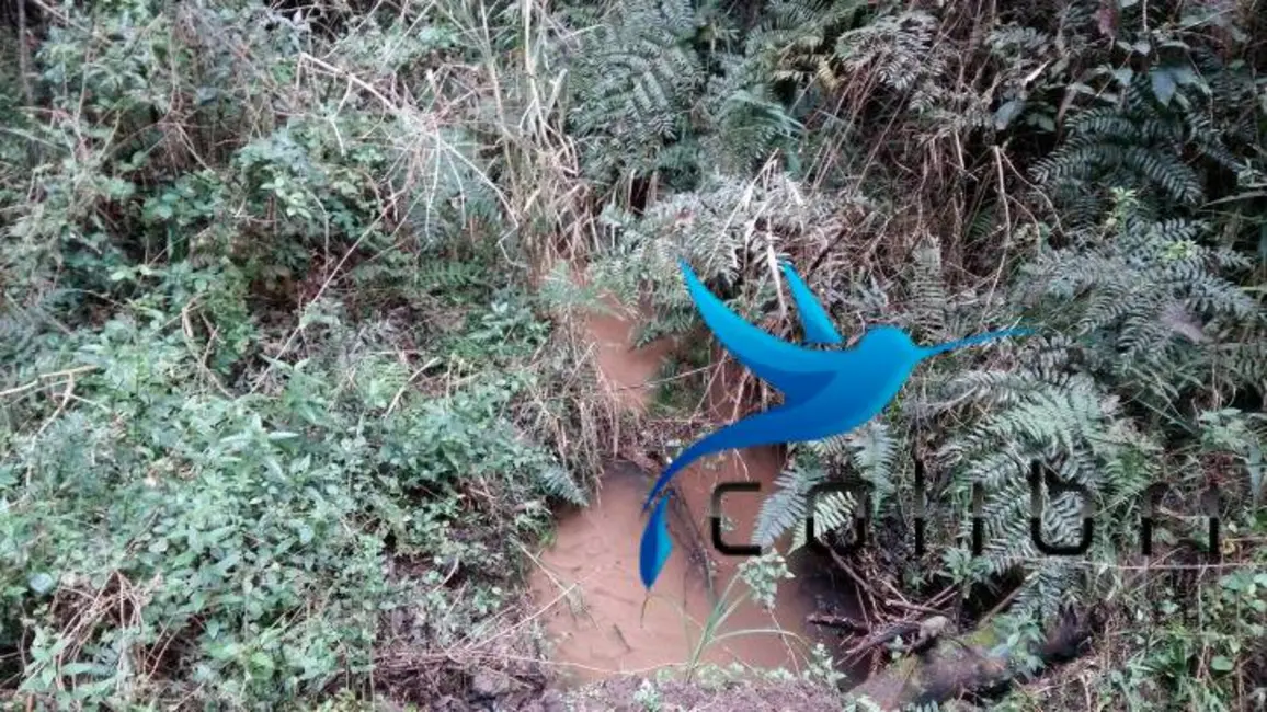 Foto 4 de Chácara à venda, 51425m2 em Agudos Do Sul - PR