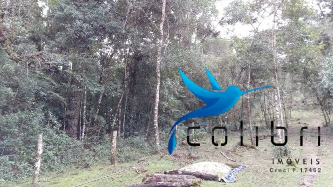 Foto 2 de Chácara à venda, 51425m2 em Agudos Do Sul - PR