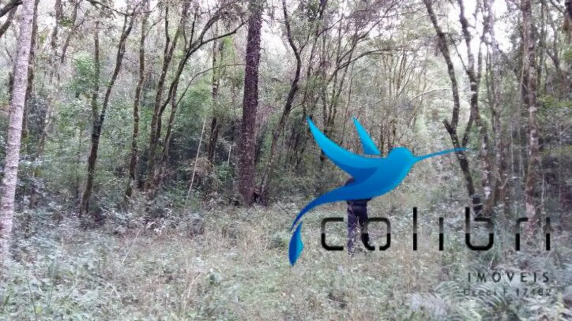 Foto 8 de Chácara à venda, 51425m2 em Agudos Do Sul - PR