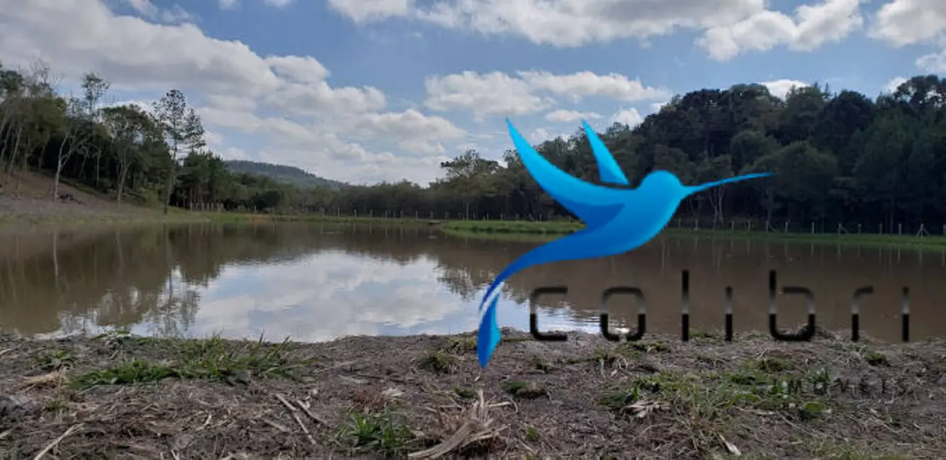 Foto 9 de Chácara com 3 quartos à venda, 18000m2 em Quitandinha - PR