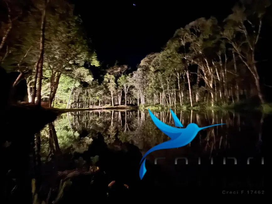 Foto 17 de Chácara com 2 quartos à venda, 49098m2 em Agudos Do Sul - PR