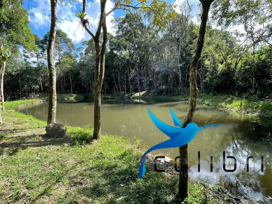 Foto 9 de Chácara com 2 quartos à venda, 49098m2 em Agudos Do Sul - PR