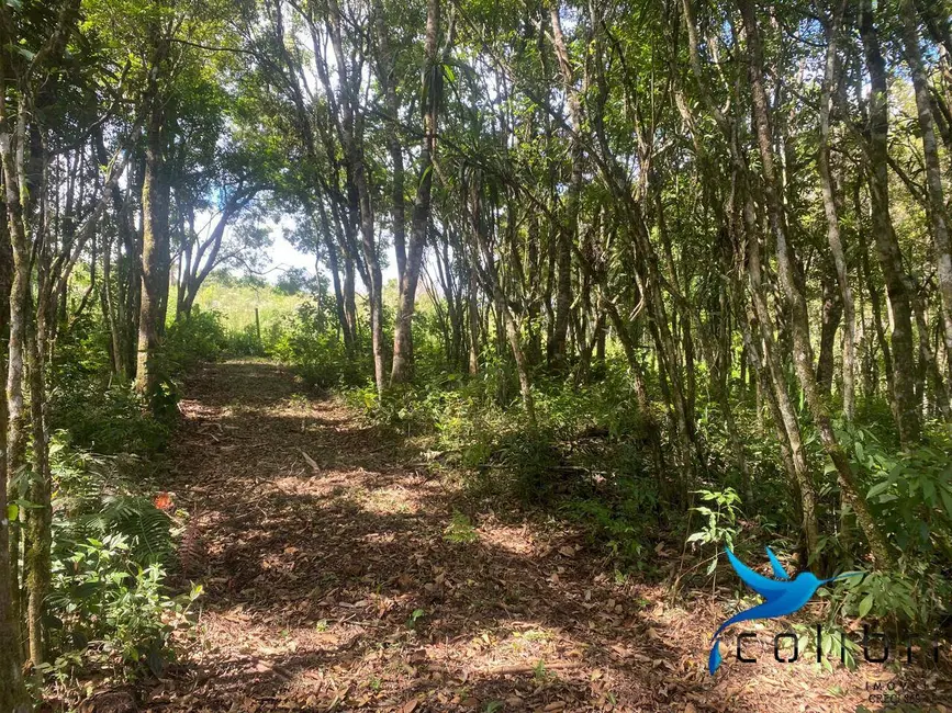 Foto 9 de Chácara à venda, 7716m2 em Mandirituba - PR