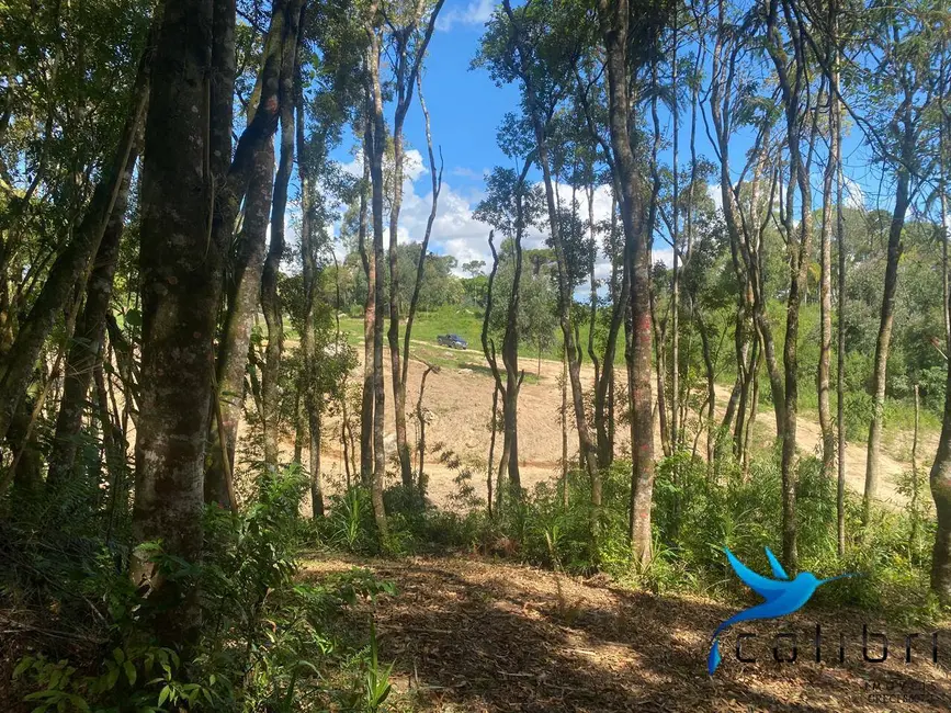 Foto 10 de Chácara à venda, 7716m2 em Mandirituba - PR