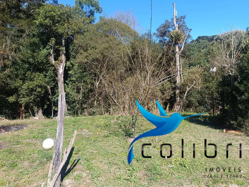 Foto 6 de Casa com 3 quartos à venda, 2687m2 em Leão, Agudos Do Sul - PR