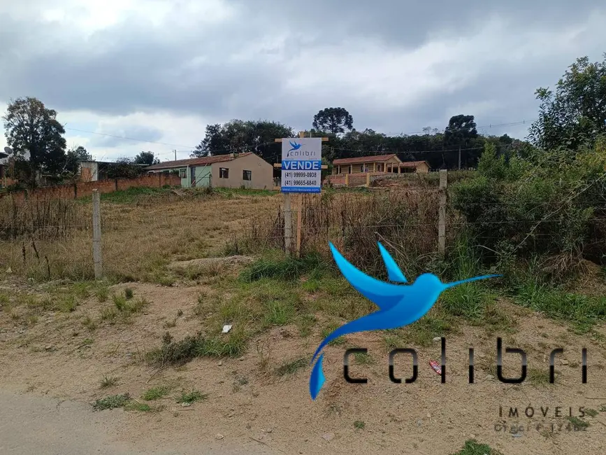 Foto 3 de Terreno / Lote à venda, 1846m2 em Centro, Agudos Do Sul - PR