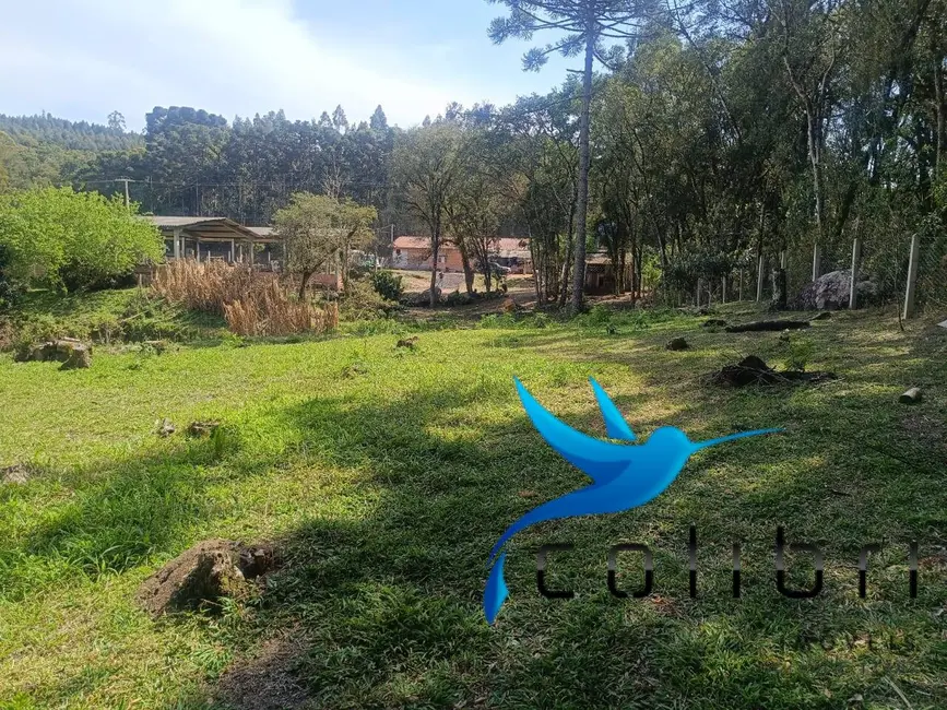 Foto 8 de Chácara com 7 quartos à venda, 10000m2 em Agudos Do Sul - PR