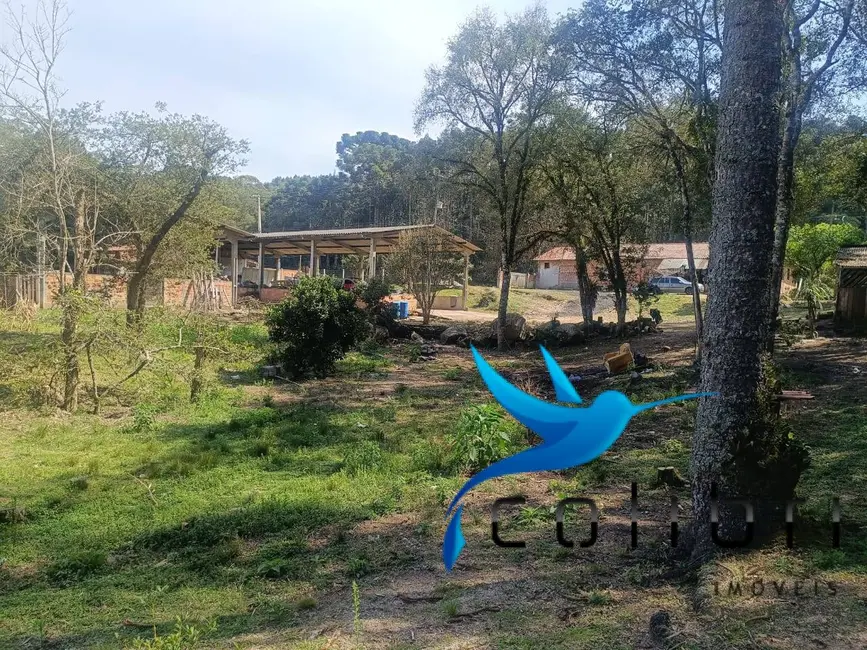 Foto 9 de Chácara com 7 quartos à venda, 10000m2 em Agudos Do Sul - PR