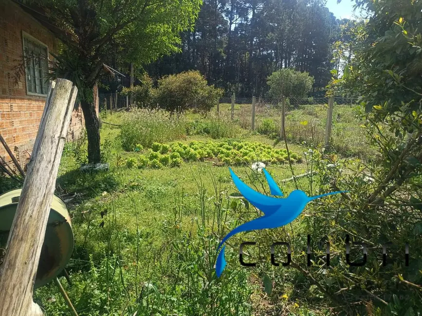 Foto 6 de Chácara com 7 quartos à venda, 10000m2 em Agudos Do Sul - PR