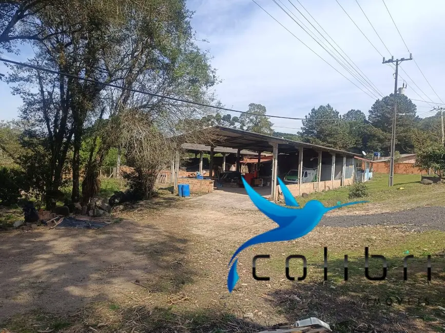 Foto 3 de Chácara com 7 quartos à venda, 10000m2 em Agudos Do Sul - PR