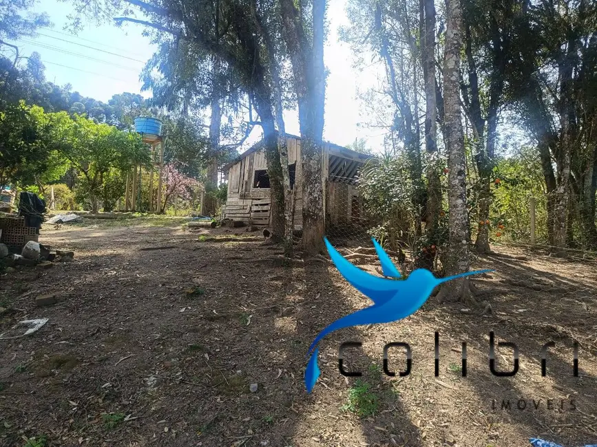 Foto 5 de Chácara com 7 quartos à venda, 10000m2 em Agudos Do Sul - PR