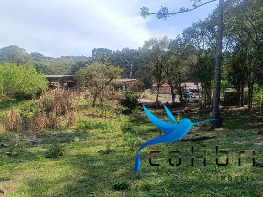 Foto 7 de Chácara com 7 quartos à venda, 10000m2 em Agudos Do Sul - PR