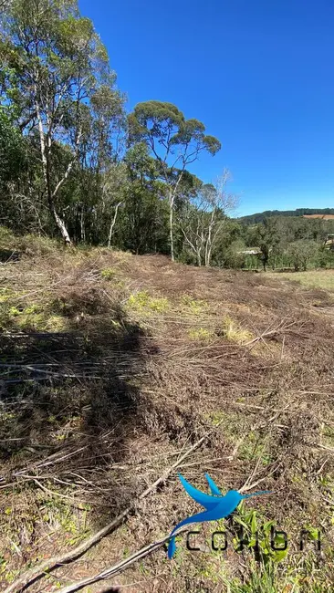 Foto 9 de Chácara à venda, 14442m2 em Agudos Do Sul - PR