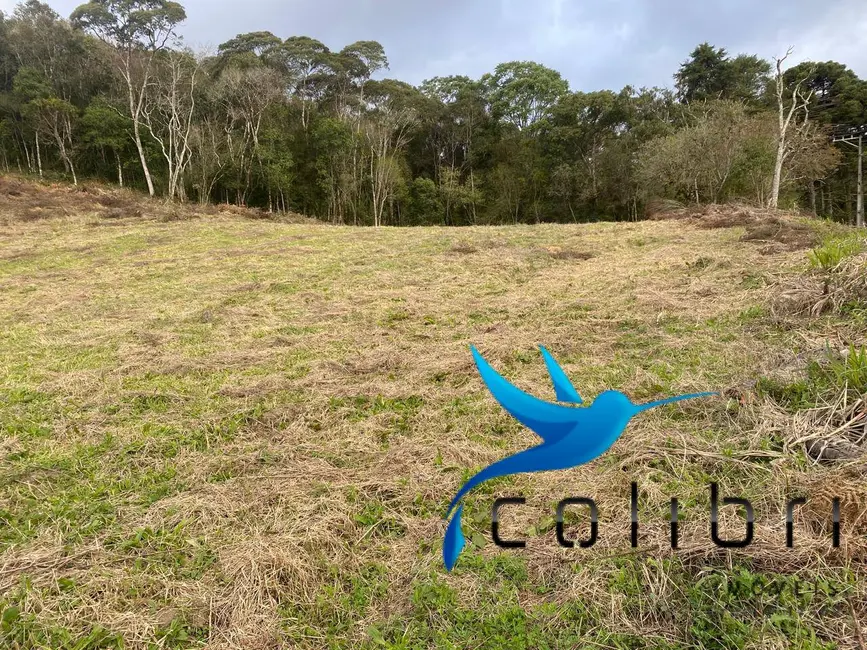 Foto 5 de Chácara à venda, 14442m2 em Agudos Do Sul - PR