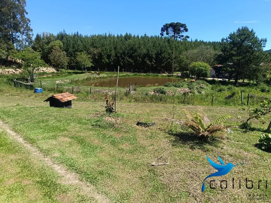 Foto 5 de Chácara com 3 quartos à venda, 8470m2 em Agudos Do Sul - PR