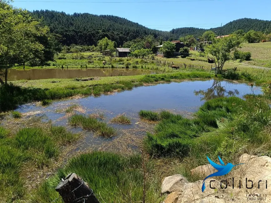 Foto 9 de Chácara com 3 quartos à venda, 8470m2 em Agudos Do Sul - PR