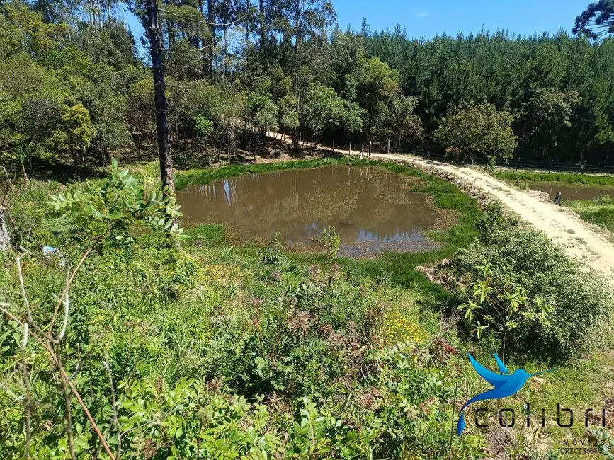 Foto 8 de Chácara com 3 quartos à venda, 8470m2 em Agudos Do Sul - PR